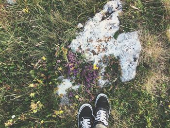 Low section of person standing on grassy field