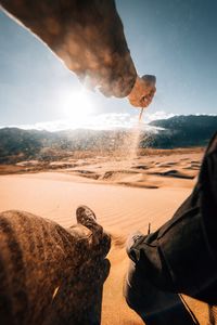 Low section of man holding sand while sitting in desert during sunny day