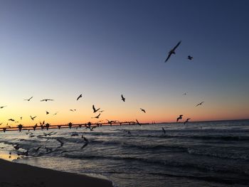 Seagulls flying over beach against sky during sunset