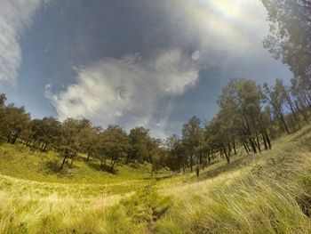 Panoramic view of agricultural field against sky