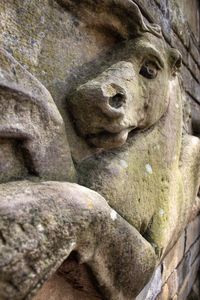 Low angle view of stone wall
