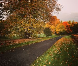 Empty road amidst trees on field during autumn