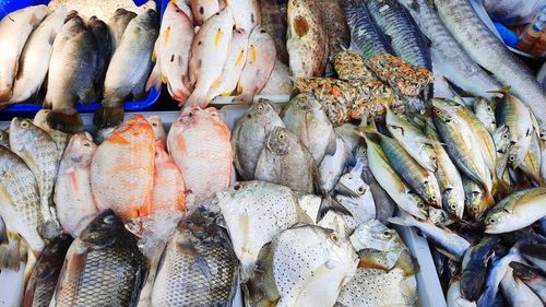 High angle view of fish for sale in market
