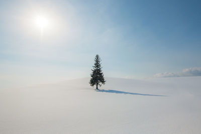 Trees on snow field against sky during winter