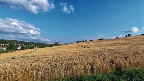 Scenic view of agricultural field against sky