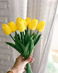 Close-up of hand holding yellow tulip