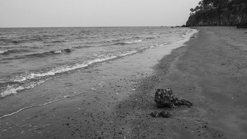 Scenic view of beach against clear sky