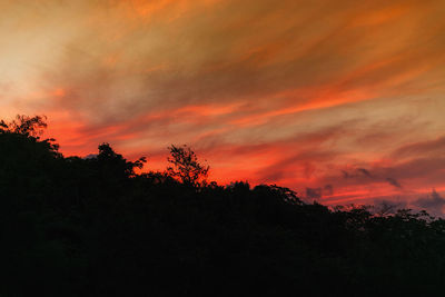 Silhouette trees against dramatic sky during sunset