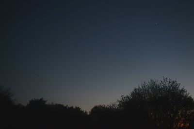 Silhouette trees against sky at night