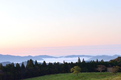 Scenic view of field against sky during sunset