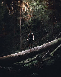 Man standing by tree in forest