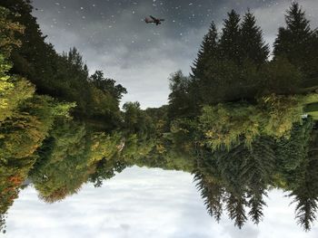Scenic view of trees against sky