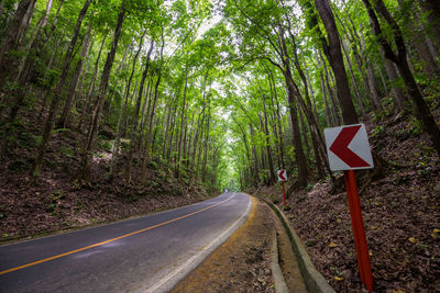 Directional sign by road amidst trees in forest