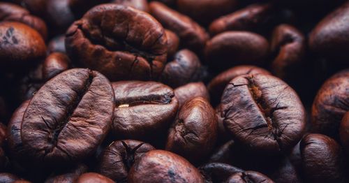 Detail shot of coffee beans