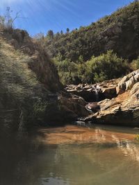 Scenic view of river in forest against sky