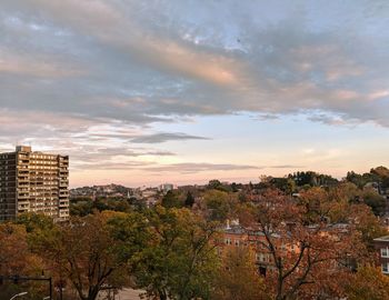 Trees and cityscape against sky during sunset