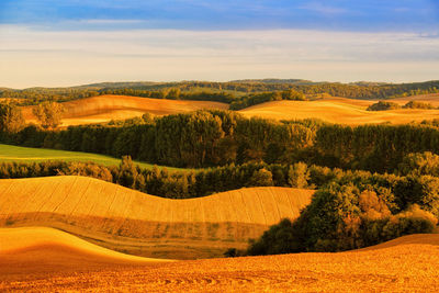 Scenic view of field against sky during sunset