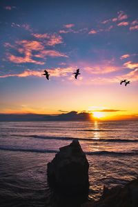 Birds flying over sea against sky during sunset