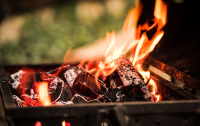 Close-up of bonfire at night