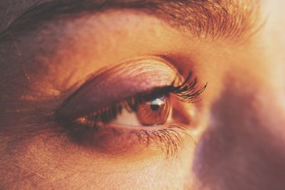 Close-up of human eye