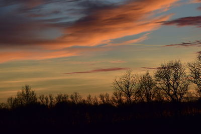 Silhouette trees against sky during sunset