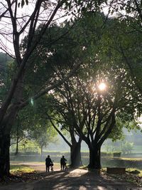 Silhouette people walking on tree against sky