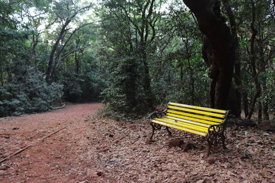 A bright yellow colored empty bench along a forest trail