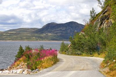 Road by plants and mountains against sky