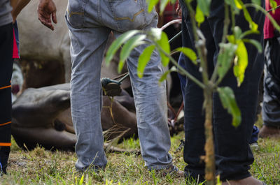 Low section of people by plants on field