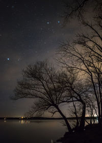 Reflection of trees in lake