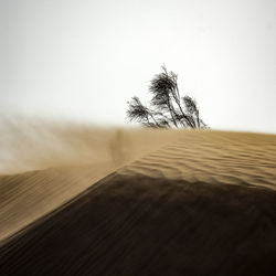 Scenic view of desert against clear sky