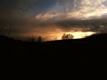 Low angle view of silhouette trees against sky at sunset