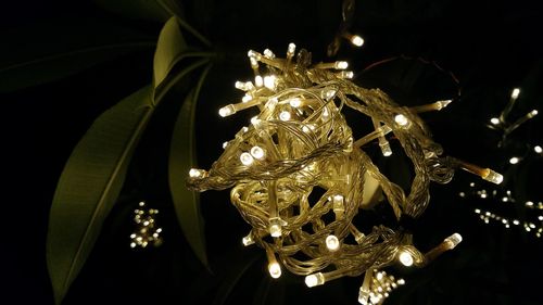 Low angle view of illuminated decoration hanging against black background