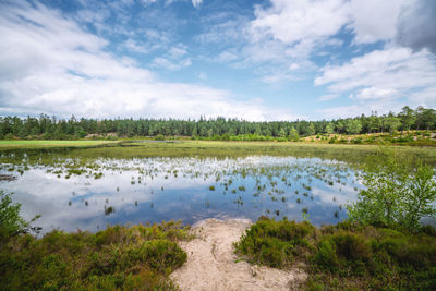 Scenic view of river amidst field against sky