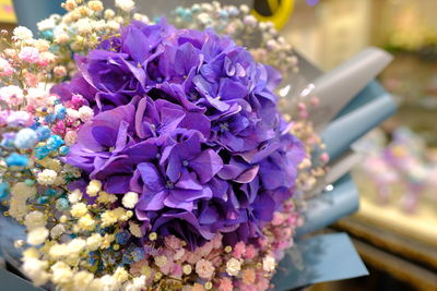Close-up of purple flowering plant
