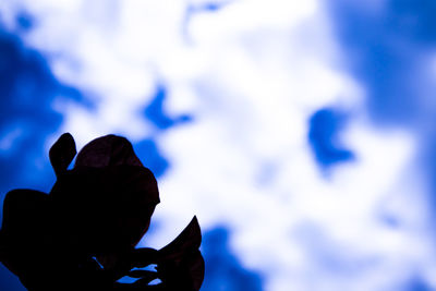Low angle view of silhouette person against blue sky