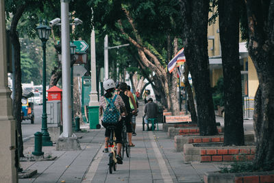 Rear view of people walking on street amidst trees