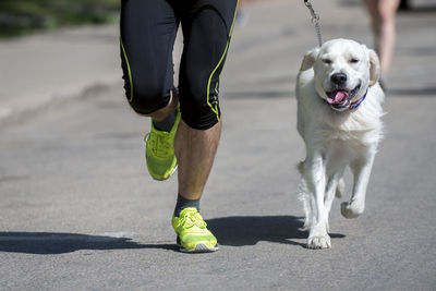 Low section of man with dog running on road during sunny day