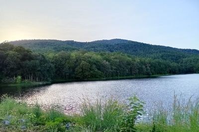 Scenic view of lake in forest against clear sky