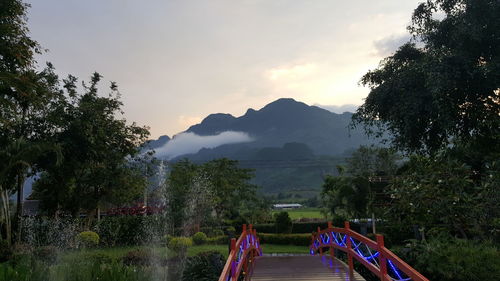 Rear view of woman walking on mountain against sky