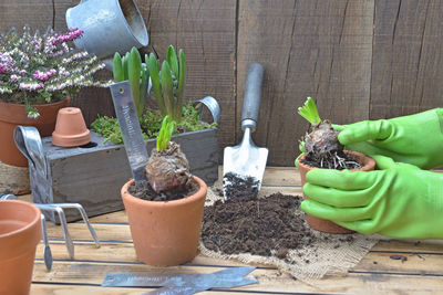 Midsection of person holding potted plant on table