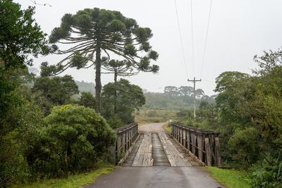 Bridge amidst trees in forest against sky