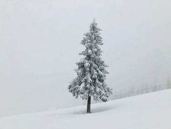 Tree on snow covered landscape against clear sky