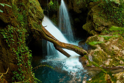 Scenic view of la vaioaga waterfall in forest