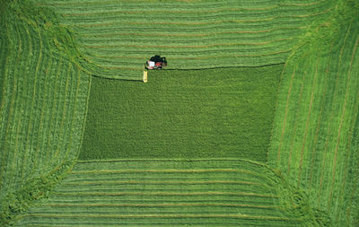 Bright green field of wheat with working tractor