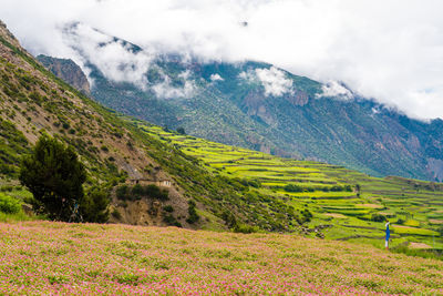 Scenic view of field against mountains