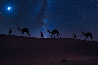 Side view of silhouette horses on beach