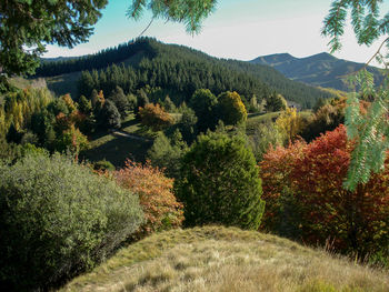 Scenic view of trees and mountains against sky