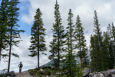Man amidst trees in forest against sky