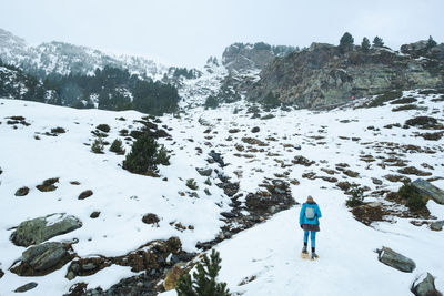 Rear view of person on snow covered mountain